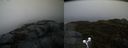 ./images/calvert/buxton2/20191203/buxton220191203_094003M.jpg