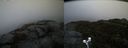 ./images/calvert/buxton2/20191203/buxton220191203_100002M.jpg