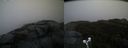 ./images/calvert/buxton2/20191203/buxton220191203_102502M.jpg
