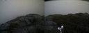 ./images/calvert/buxton2/20191203/buxton220191203_103002M.jpg