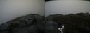 ./images/calvert/buxton2/20191203/buxton220191203_104502M.jpg