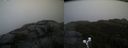 ./images/calvert/buxton2/20191203/buxton220191203_110003M.jpg
