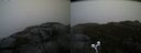 ./images/calvert/buxton2/20191203/buxton220191203_112503M.jpg