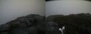 ./images/calvert/buxton2/20191203/buxton220191203_114003M.jpg