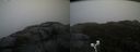 ./images/calvert/buxton2/20191203/buxton220191203_115003M.jpg