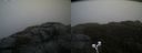 ./images/calvert/buxton2/20191203/buxton220191203_120003M.jpg