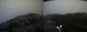 ./images/calvert/buxton2/20191203/buxton220191203_122503M.jpg