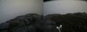 ./images/calvert/buxton2/20191203/buxton220191203_130502M.jpg