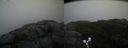 ./images/calvert/buxton2/20191203/buxton220191203_131002M.jpg