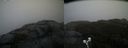 ./images/calvert/buxton2/20191203/buxton220191203_131502M.jpg
