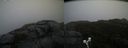 ./images/calvert/buxton2/20191203/buxton220191203_132502M.jpg