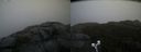./images/calvert/buxton2/20191203/buxton220191203_133003M.jpg