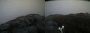 ./images/calvert/buxton2/20191203/buxton220191203_133502M.jpg