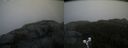 ./images/calvert/buxton2/20191203/buxton220191203_140502M.jpg