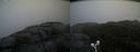 ./images/calvert/buxton2/20191203/buxton220191203_142503M.jpg
