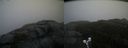 ./images/calvert/buxton2/20191203/buxton220191203_143003M.jpg
