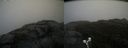 ./images/calvert/buxton2/20191203/buxton220191203_152502M.jpg