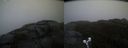 ./images/calvert/buxton2/20191203/buxton220191203_161002M.jpg