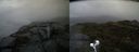 ./images/calvert/buxton2/20191206/buxton220191206_112502M.jpg