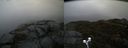 ./images/calvert/buxton2/20191210/buxton220191210_135502M.jpg