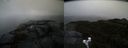./images/calvert/buxton2/20191216/buxton220191216_140502M.jpg