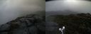 ./images/calvert/buxton2/20191217/buxton220191217_104002M.jpg
