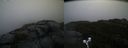 ./images/calvert/buxton2/20191217/buxton220191217_121003M.jpg