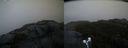 ./images/calvert/buxton2/20191217/buxton220191217_122003M.jpg