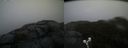 ./images/calvert/buxton2/20191217/buxton220191217_132002M.jpg