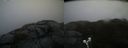 ./images/calvert/buxton2/20191217/buxton220191217_132502M.jpg