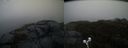 ./images/calvert/buxton2/20191217/buxton220191217_145503M.jpg