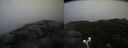 ./images/calvert/buxton2/20200130/buxton220200130_163003M.jpg