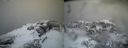 ./images/calvert/buxton2/20200214/buxton220200214_173502M.jpg