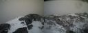 ./images/calvert/buxton2/20200221/buxton220200221_160503M.jpg