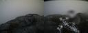 ./images/calvert/buxton2/20200227/buxton220200227_174503M.jpg