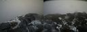 ./images/calvert/buxton2/20200303/buxton220200303_124003M.jpg