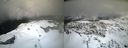 ./images/calvert/buxton2/20200307/buxton220200307_133502M.jpg