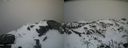 ./images/calvert/buxton2/20200310/buxton220200310_163502M.jpg