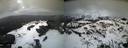 ./images/calvert/buxton2/20200310/buxton220200310_194502M.jpg