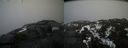 ./images/calvert/buxton2/20200328/buxton220200328_162003M.jpg