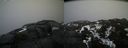 ./images/calvert/buxton2/20200328/buxton220200328_164503M.jpg
