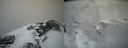 ./images/calvert/buxton2/20200330/buxton220200330_130503M.jpg