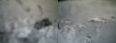 ./images/calvert/buxton2/20200330/buxton220200330_140502M.jpg