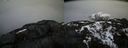 ./images/calvert/buxton2/20200409/buxton220200409_200502M.jpg