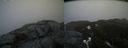 ./images/calvert/buxton2/20200417/buxton220200417_121003M.jpg