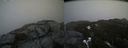 ./images/calvert/buxton2/20200417/buxton220200417_121502M.jpg