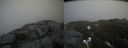 ./images/calvert/buxton2/20200417/buxton220200417_122002M.jpg