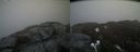 ./images/calvert/buxton2/20200417/buxton220200417_122503M.jpg
