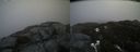 ./images/calvert/buxton2/20200417/buxton220200417_124003M.jpg