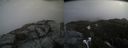 ./images/calvert/buxton2/20200417/buxton220200417_124503M.jpg